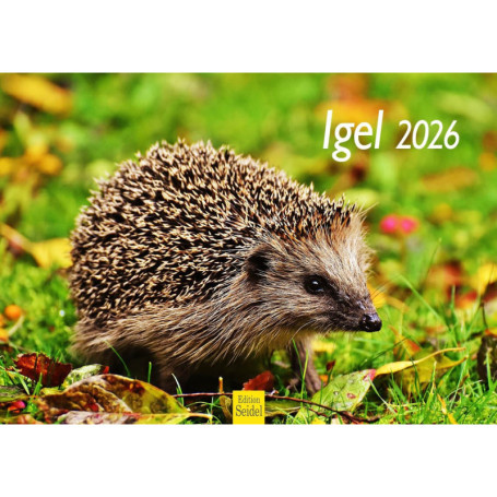 Calendrier Mural Premium Hérisson 2026 - Edition Seidel A4