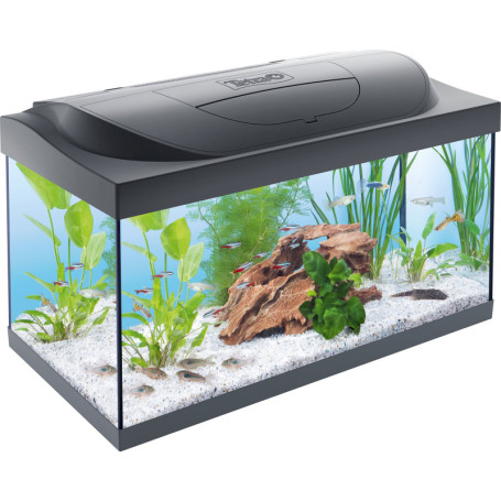 Tetra Starter Line LED - Aquarium Complet 54L avec Éclairage et Filtration