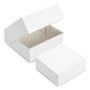 Lot de 50 Boîtes Pâtissières Carrées Blanches - 28x8 cm