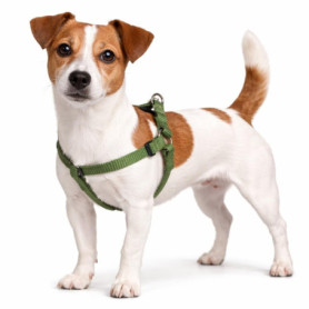 Harnais Chien Ziggi Kaki S - Confort et Sécurité