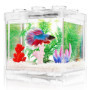 Mini Aquarium Betta Transparent - Kit Complet 1,9 L pour Poissons et Décoration