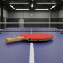Raquette de Ping Pong 2 Étoiles Performance - Idéale pour Débutants et Amateurs