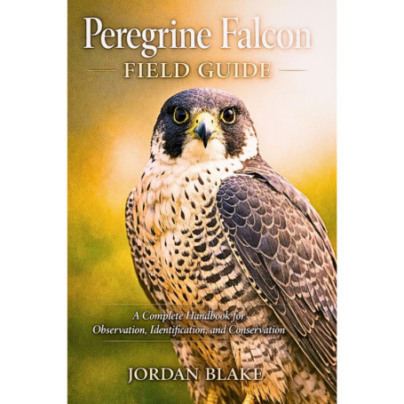 Guide Pratique du Faucon Pèlerin : Observation et Identification
