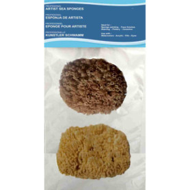 Lot de 2 Éponges de Mer Naturelles pour Artistes - Idéales pour Peinture et Décoration