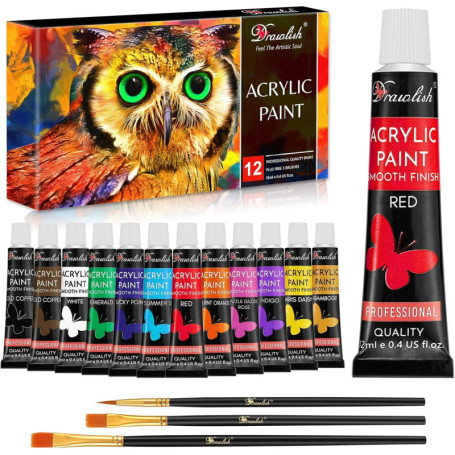 Kit de Peinture Acrylique Drawlish - 12 Tubes de Couleurs Vibrantes avec 3 Pinceaux