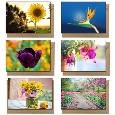 Lot de 48 cartes de vœux fleuries avec enveloppes assorties