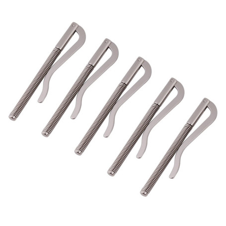 Lot de 5 Pinces à Billets en Acier Galvanisé - Clips Organisateurs Argent