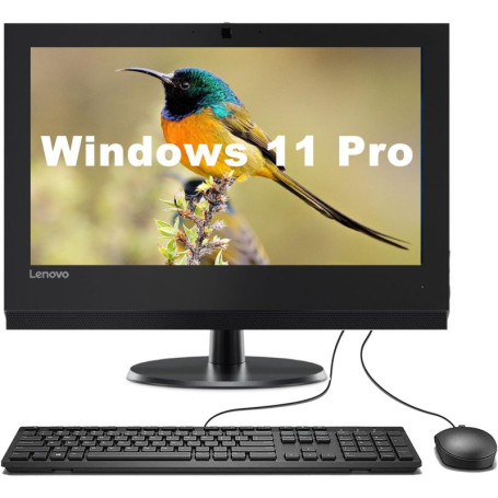 Lenovo Thinkcentre V310z Tout-en-Un - PC de Bureau Rénové avec Intel Core i3, 8 Go RAM, 256 Go SSD