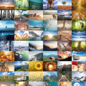 Lot de 64 cartes postales Bear and Bee - Nature et Animaux