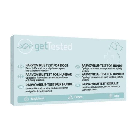 Kit de Test Parvovirus pour Chiens - Dépistage Rapide à Domicile