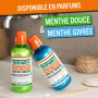 Bain de Bouche The Breath Co. Menthe Givrée - Lot de 2 x 500ml pour Haleine Fraîche