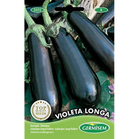 Graines d'Aubergine Violette Longue Germisem - Variété Précoce