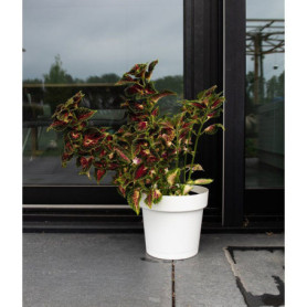 Pot de Fleurs Rond Glamour - Blanc - Ø 50 cm