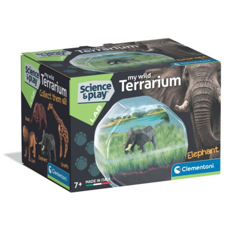Mini Terrarium Éléphant - Créez Votre Monde Végétal