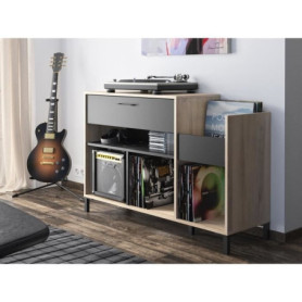 Meuble de Rangement Vinyles GAMI Platine - Style Urbain en Chêne Noir