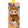Peluche interactive Mon bébé singe caramel - LITTLE LIVE PETS