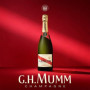 Coffret Champagne Mumm Cordon Rouge avec 2 Flûtes Élégantes