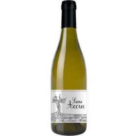 Sans Accroc 2024 - Vin Blanc Viognier de la Vallée du Rhône