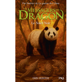 Les Messagers du Dragon, Cycle 1 - Tome 4 Le Soleil Noir
