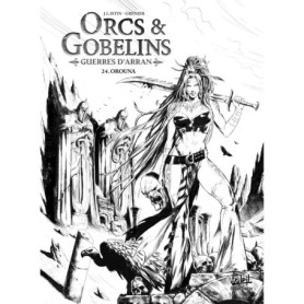 Orcs et Gobelins T24 - Guerres d'Arran - Orouna - Édition NB