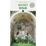 Secret Rome