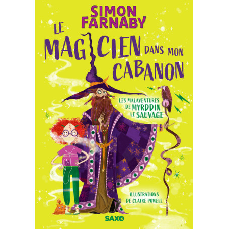 Le Magicien dans mon cabanon - Tome 01 Les malaventures de Myrddin le sauvage