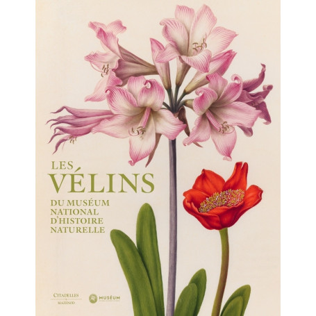 Les velins du Museum d'histoire naturelle