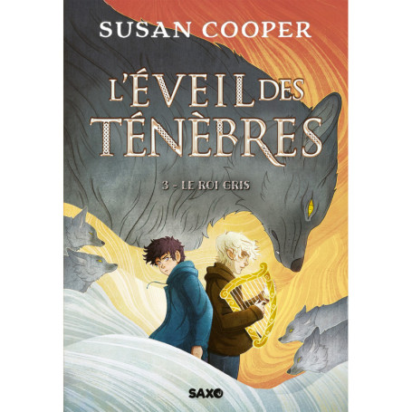 L'Éveil des Ténèbres - Tome 03 Le Roi Gris (broché)