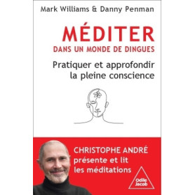 Méditer dans un monde de dingues