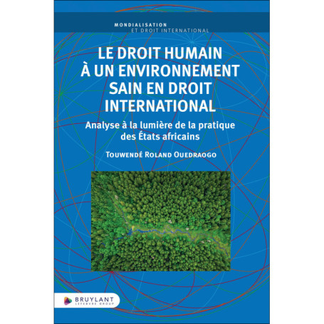 Le droit humain à un environnement sain en droit international - Analyse à la lumière de la pratique