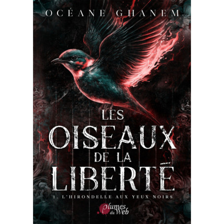 Les oiseaux de la liberté - Tome 01 L'hirondelle aux yeux noirs