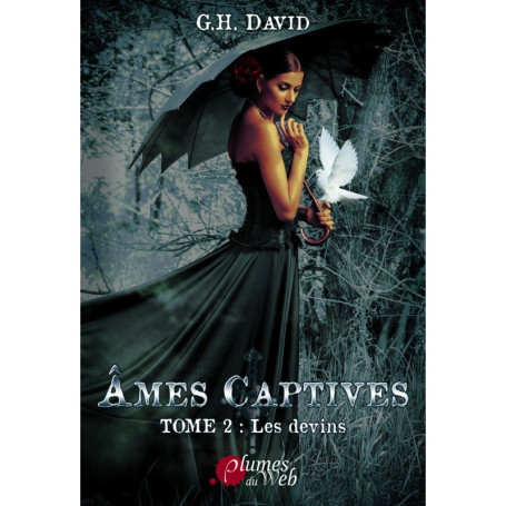 Ames captives - Tome 02 Les devins