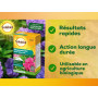 SOLABIOL Séquestrène Anti Chlorose - 100g - Jusqu'à 50L De Solution - Résultats Visibles Rapidement - Action Longue Durée - Pour
