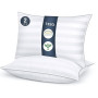 TESQ Oreiller 50x70 cm Lot de 2 Oreillers Confort Moelleux, Qualité Hôtelière de Luxe, Respirant et Hypoallergénique, Idéal pour