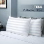 TESQ Oreiller 50x70 cm Lot de 2 Oreillers Confort Moelleux, Qualité Hôtelière de Luxe, Respirant et Hypoallergénique, Idéal pour