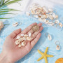 PLIGREAT 60 Pcs Ornements de Cheveux Tresses Coquillage Conque Dreadlock Anneaux Pendentifs Eté Plage Style Tressé Cheveux Tress