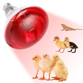 KBIBCK Lampe Chauffante Reptile, 250W Ampoules Chauffantes pour Reptiles, E27 Ampoule Infrarouge Chauffante, pour Chiot, Poussin