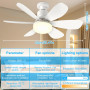 PQETBV Ventilateur de Plafond avec Lumière et Telecommande, Lumières du Ventilateur de Plafond avec Douille E27, 6 Pales, 3 Vite