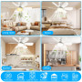 PQETBV Ventilateur de Plafond avec Lumière et Telecommande, Lumières du Ventilateur de Plafond avec Douille E27, 6 Pales, 3 Vite