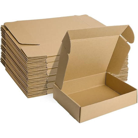 HORLIMER Petite Boîte Carton d'expédition 305x229x76MM Lot de 20, Carton de Livraison Pliable pour Expédition Postale, Courrier,