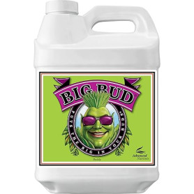 Advanced Nutrients GL525050-12 Big Bud Engrais Liquide 250 ML Marron/A