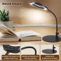 Lampe Loupe sur Pied 10x Grossissante Modelisme 360° LED 5 Couleurs Dimmable - Bureau Eclairante pour Lecture, Réparation et Art