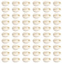 TOAOB 200pcs Shell Perles en Coquillage Beige Charmes Naturel en Cauris Coquilles 15 à 17mm pour Fabrication de Bijoux Bracelet