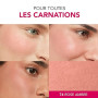 BOURJOIS - Boîte Ronde Blush 74 Rose Ambre - Piceau & Miroir Intégré - Technologie Fard Cuit - Texture Fine & Légère - Facile À