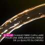 Garnier Coloration Permanente - Sans Ammoniaque - Aux Huiles Naturelles de Fleurs - Violine Profond (4.26) - Olia Vivids