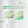 VT COSMETICS CICA Reedle Shot 300, Exosome de Nuit Avancé, Sérum de Microaiguilles, Centella Asiatica, Acide Hyaluronique, Propo