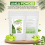 Amla poudre - 100 gr - lutte contre la chute des cheveux, les pellicules et le vieillissement prématuré
