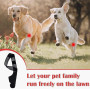 Protège-coude pour Chien, Protège-coude pour Chien pour le Soutien du Coude et de L'épaule du Chien Hygroma du Coude, Dysplasie,