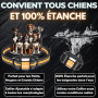 PAWPRO Collier de Dressage, Portée de 3km, Mode Lumière Nocturne, Guide de Dressage Inclus, 124 Niveaux d’Entraînement, BIP Vibr