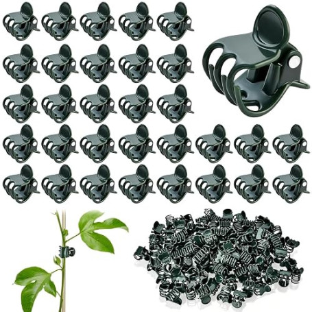 KATELUO 100 Pièces Clips de Support pour Plantes, Pinces à Orchidée Réutilisable, Clips pour Plantes Grimpantes, Pinces à Plante